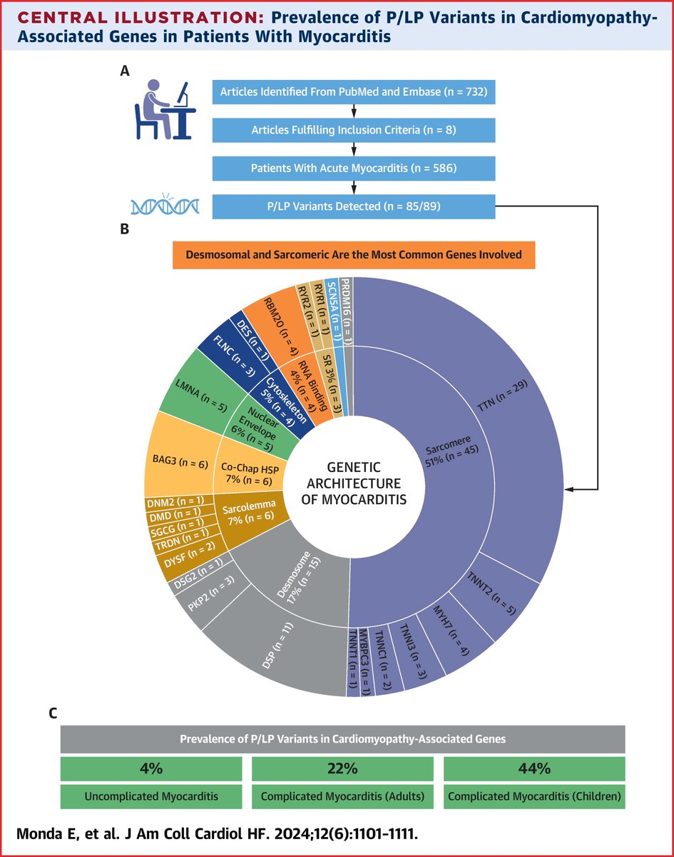 BiykemBozkurt (@biykemb) on Twitter photo Prevalence of pathogenic/likely pathogenic variants of CMP associated genes in complicated myocarditis 22% in adults and 45% in children! Sarcomeric gene variants more prevalent in complicated myocarditis. #JACCHF <a href="/JACCJournals/">JACC Journals</a> jacc.org/doi/10.1016/j.…
jacc.org/doi/10.1016/j.… Prevalence of pathogenic/likely pathogenic variants of CMP associated genes in complicated myocarditis 22% in adults and 45% in children! Sarcomeric gene variants more prevalent in complicated myocarditis. #JACCHF <a href="/JACCJournals/">JACC Journals</a> jacc.org/doi/10.1016/j.…
jacc.org/doi/10.1016/j.…