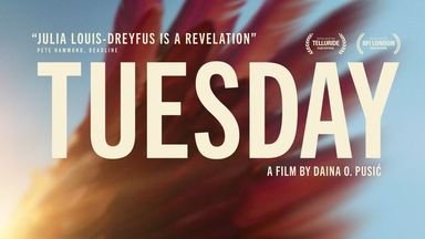 Brent_Marchant's tweet photo. "Tuesday," "Thelma," "Robot Dreams" and a museum movie exhibit, all in Movies with Meaning, at https://t.co/62U61Orh9c #BrentMarchantMovieswithMeaning #TheGoodMediaNetwork #Tuesday #Thelma #RobotDreams #007Science #GriffinMuseumofScienceandIndustry https://t.co/zRcj4kGxLt