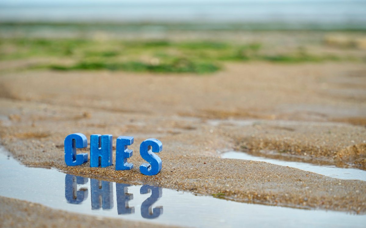 Mirror, mirror on the wall, who's the greatest ePRO of all 😀 
#CHES #ESD #ePRO