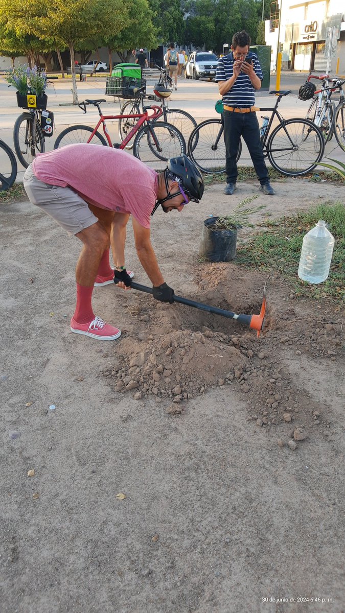 chilangobike's tweet photo. Somos más las personas que buscamos el bien colectivo que las que restan sacando árboles recién plantados.
@lamange1 @el_pishi_pishi @CDDesierto https://t.co/71jiVbaRil