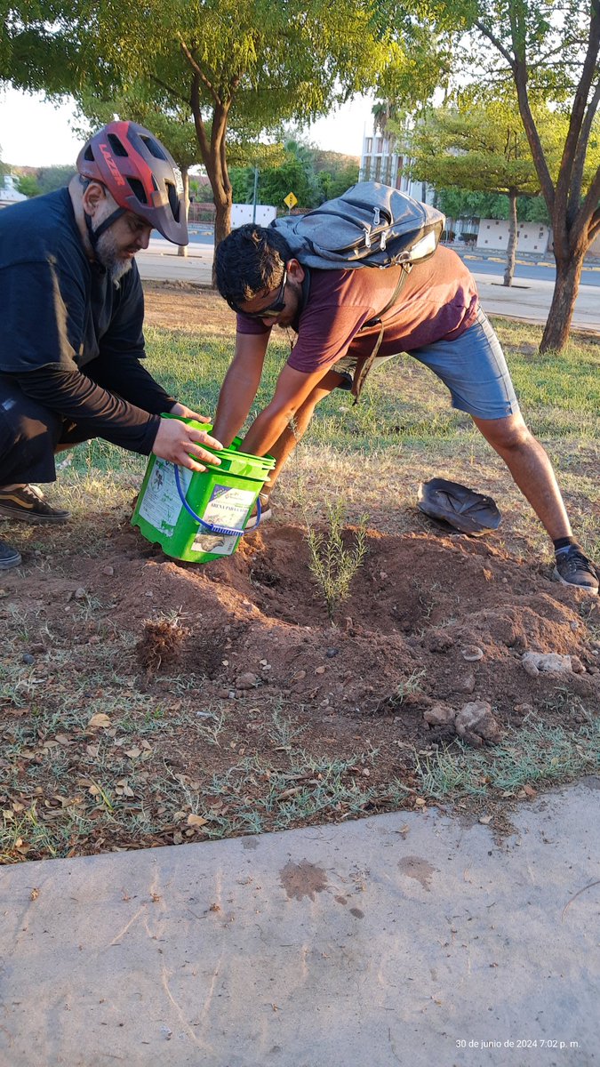 chilangobike's tweet photo. Somos más las personas que buscamos el bien colectivo que las que restan sacando árboles recién plantados.
@lamange1 @el_pishi_pishi @CDDesierto https://t.co/71jiVbaRil