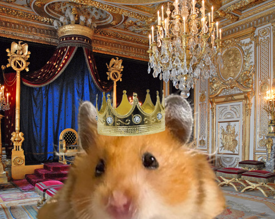 i am the king.

#BONGOLLIANS