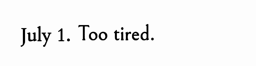 - Franz Kafka, The Diaries of Franz Kafka