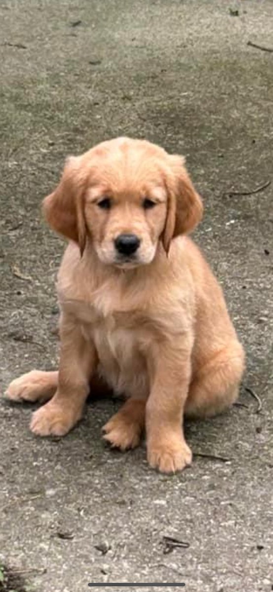 Jacqui EmpsonLaporte tweet media