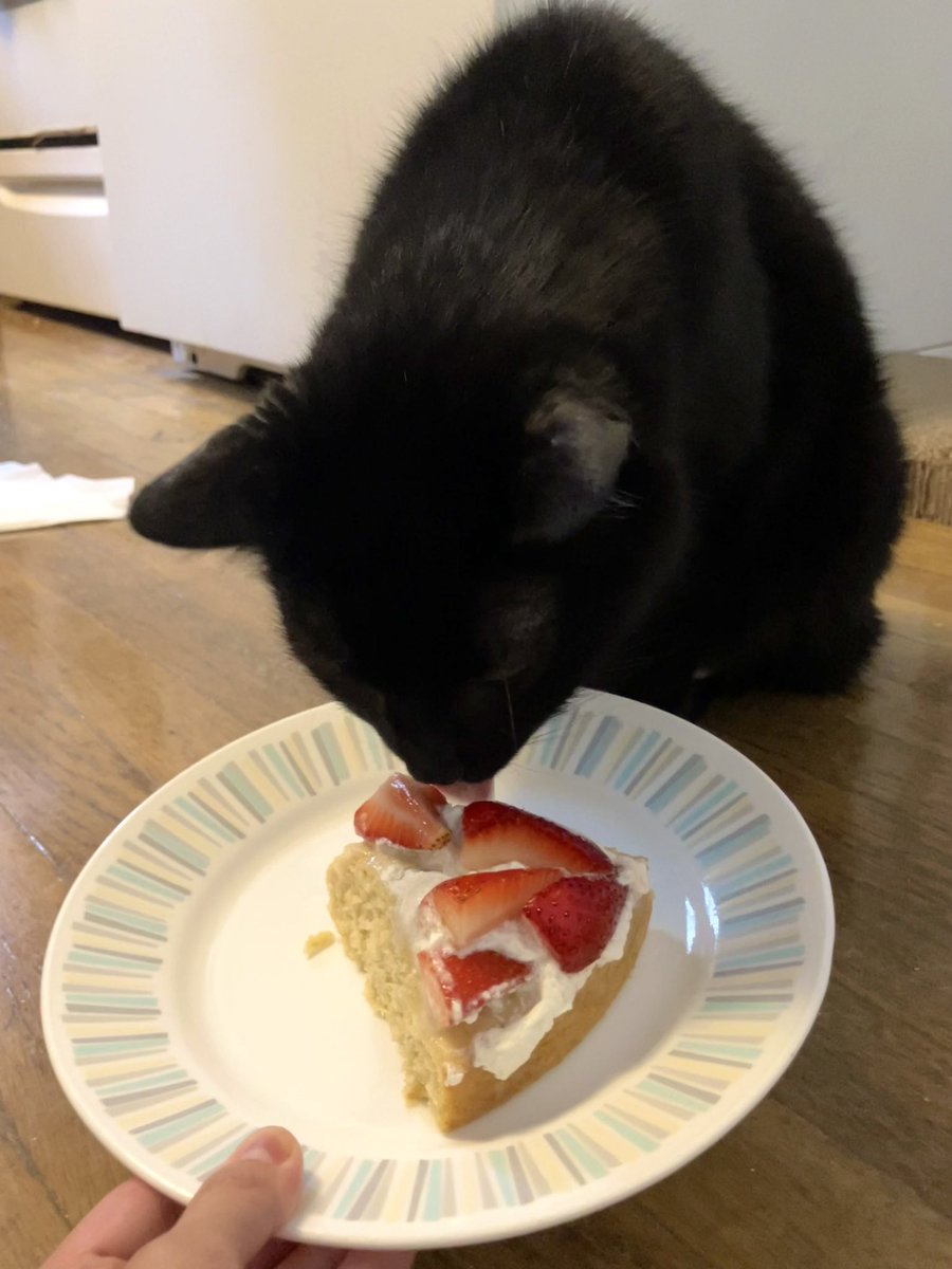 Happy 5th anniversary to <a href="/LeahBTynan/">Leah Tynan</a> and happy 17th birthday to Zack!