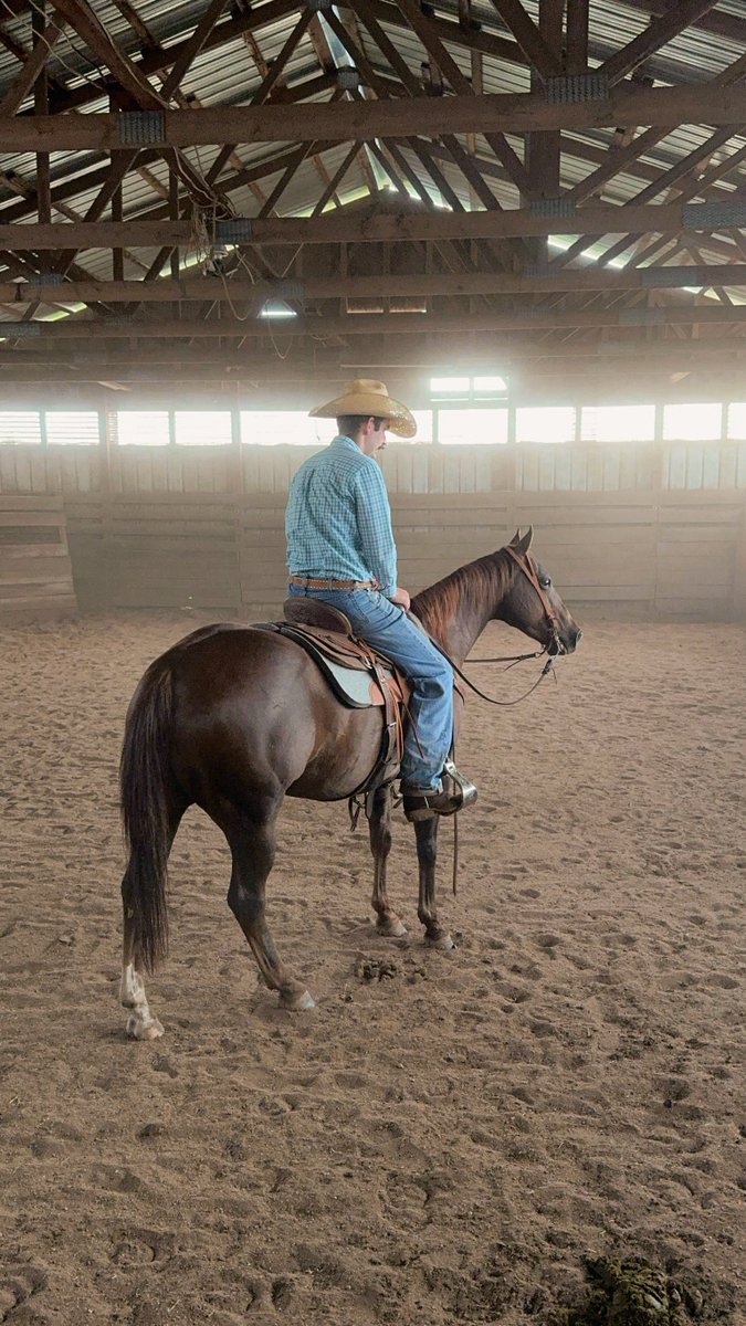 Y’all meet Nacho! Excited to see what we accomplish together!