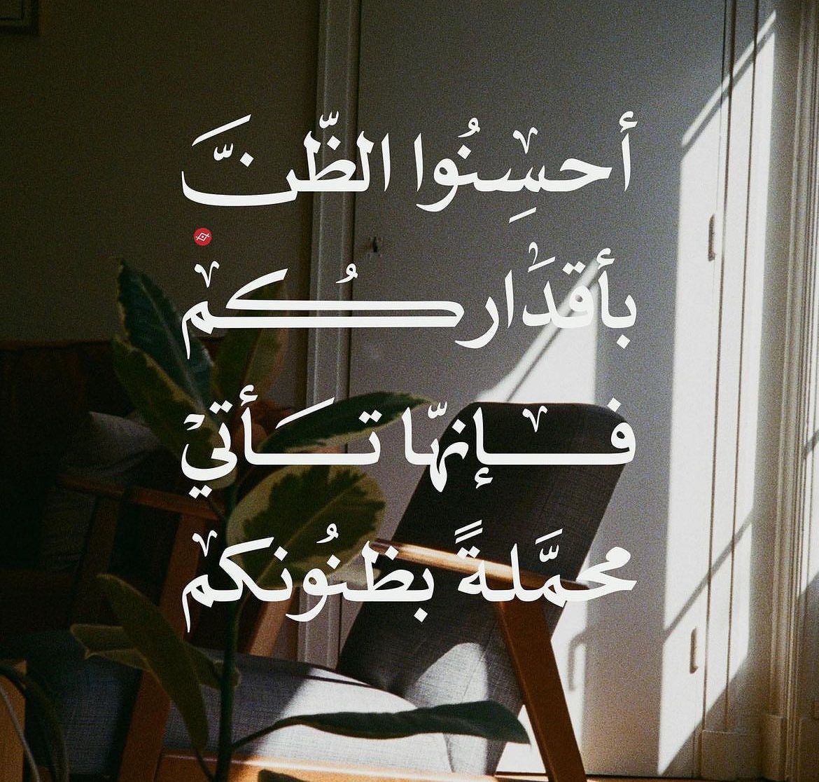 Tahfeez_al4at's tweet image. 