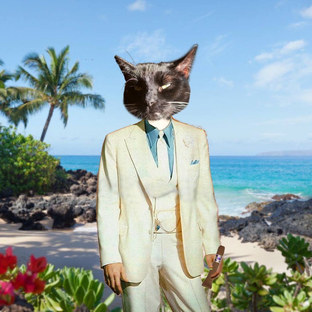 Aloha!
Welcome to the big finale of the #ChillTent's #luau weekend at #Xanawu Estate!

We'll have more acts later tonight, but this is THE show mew do NOT want to miss!

Purrlease turn your attention to our outdoor stage as I hand the mic over to our Mistress of Ceremonies: Ruby!