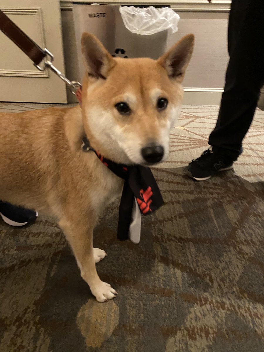 gtace99's tweet image. Met the speedrunning GOAT.