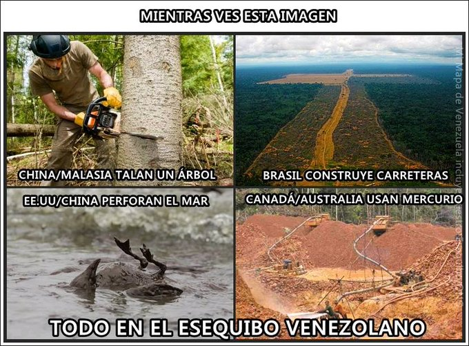 AntroCanal's tweet photo. Venezuela debe ejercer presión al ecocidio que Transnacionales cometen al Este de la Nación. Talan la selva, contaminan nuestras aguas con Mercurio, derraman petróleo en nuestro Atlántico #1Jul #MiMapa https://t.co/Eb5v4rEk51