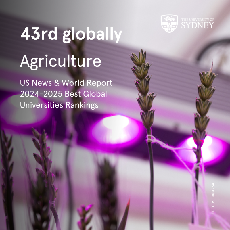 Sydney_Science's tweet photo. 👏 @Sydney_Uni has ranked 2nd in Australia in the 2024 @usnews Subject rankings!
 
@sydney_science has ranked top 50 globally across the following disciplines:

🏆 32nd for Microbiology @SydneySOLES
🏆 43rd for Agriculture @SiaSydney
🏆 44th for Psychiatry/psychology @UsydPsych