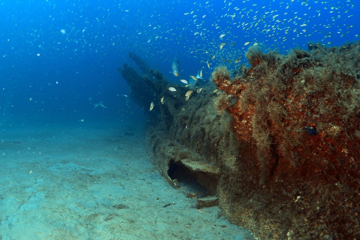 OlympusDiving's tweet photo. Great Visibility on U-352 Today! https://t.co/m6QCn1B6gw