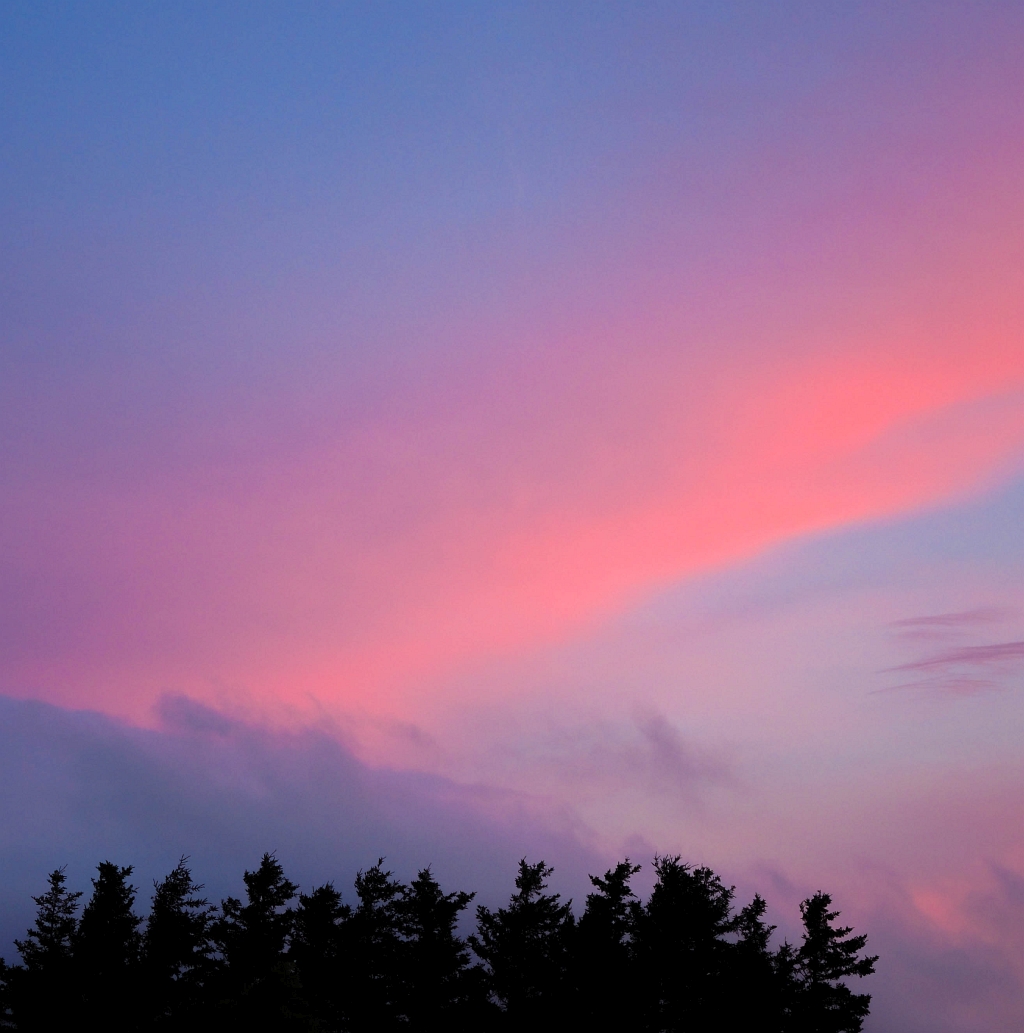 PhotoCapeBreton tweet media