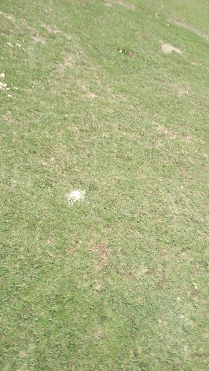 Mari Bravo (@maribravo294800) on Twitter photo 