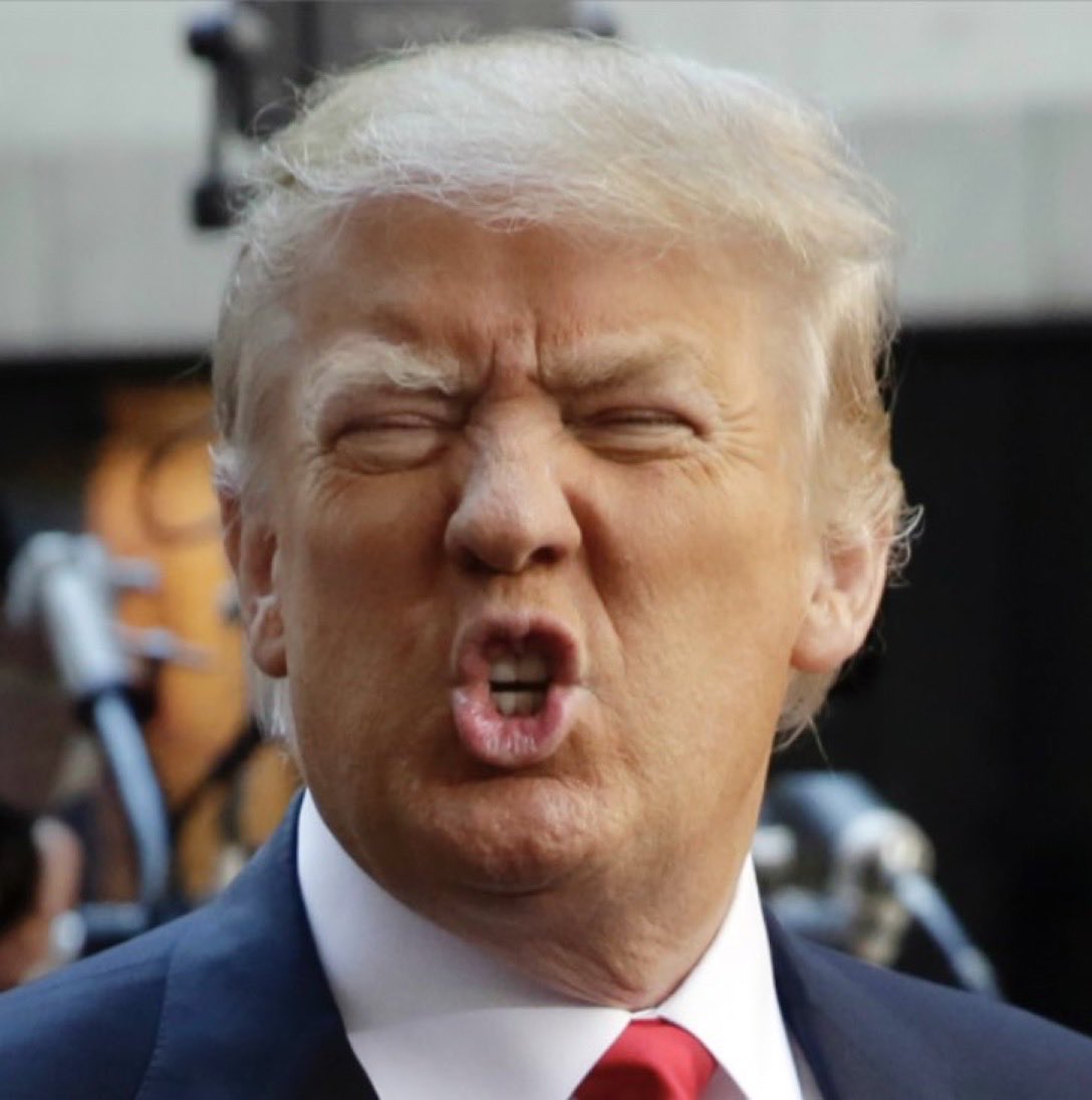 CaraMia200's tweet photo. #SerialBankrupt & failure, #TrumpThug has been burning small business traders for 50 yrs.
Their businesses folded carrying debts of #Trump.
Add to that, all the known crimes & indictments outstanding. #GOPDomesticTerrorists KNOW all this & still kissed the ring. #VoteBlue #USA https://t.co/wK8tTRjQIr
