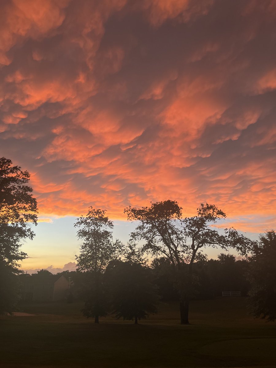 Good night New Jersey Summer