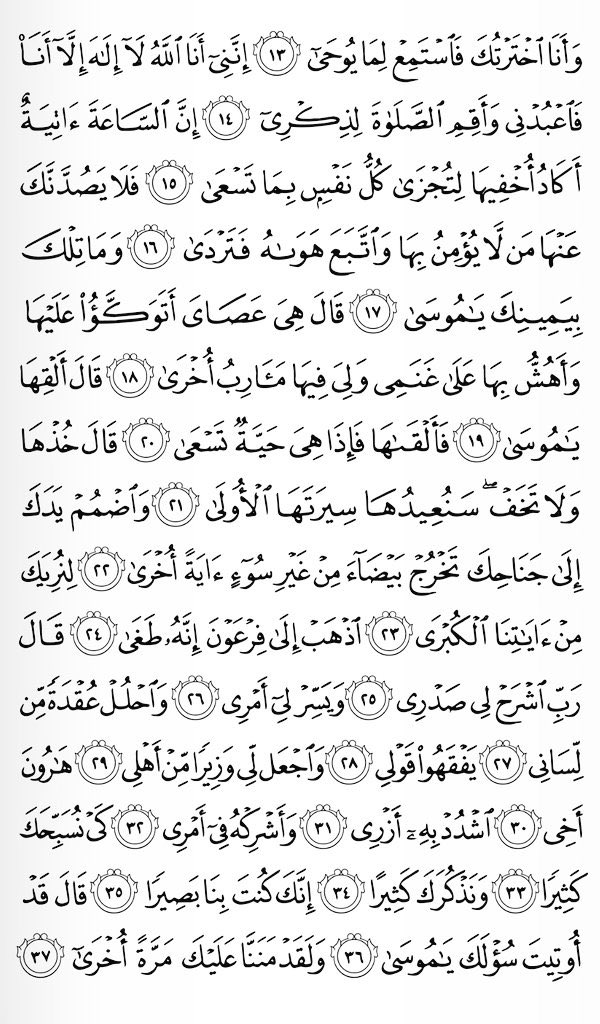 alhawqalh's tweet photo. ابدأ صباحك بقراءة صفحه من القران. https://t.co/DTkCe2HA59