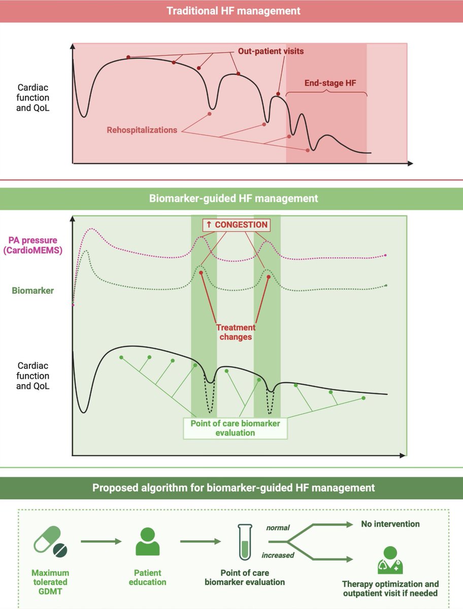 Henry Han (@hancardiomd) on Twitter photo Identifying reliable biomarkers for pulmonary congestion: Toward a close yet sustainable heart failure follow-up
Traditional versus Biomarker-guided HF monitoring
onlinelibrary.wiley.com/doi/full/10.10… <a href="/ESC_Journals/">European Society of Cardiology Journals</a> <a href="/AlbertoAimo90/">Alberto Aimo</a> <a href="/EJHFEiC/">EJHF Editor-in-Chief</a> #EJHF Identifying reliable biomarkers for pulmonary congestion: Toward a close yet sustainable heart failure follow-up
Traditional versus Biomarker-guided HF monitoring
onlinelibrary.wiley.com/doi/full/10.10… <a href="/ESC_Journals/">European Society of Cardiology Journals</a> <a href="/AlbertoAimo90/">Alberto Aimo</a> <a href="/EJHFEiC/">EJHF Editor-in-Chief</a> #EJHF