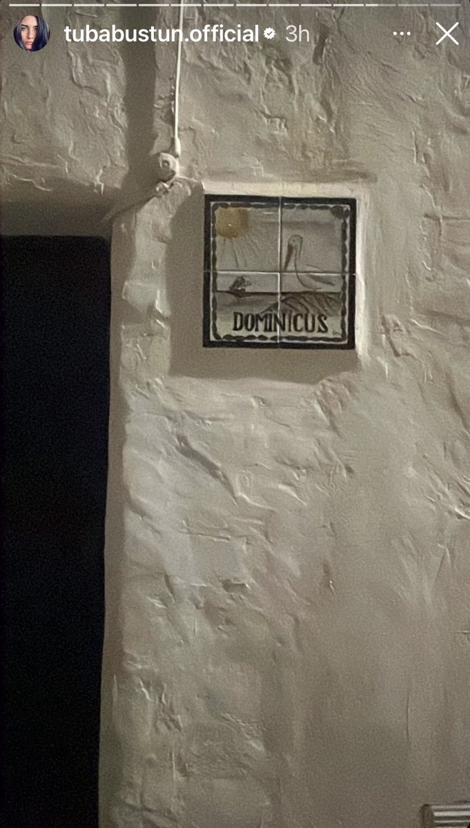 Ese mosaico de la gaviota, el mar y el sol, siempre tan presentes en su vida. #TubaBüyüküstün