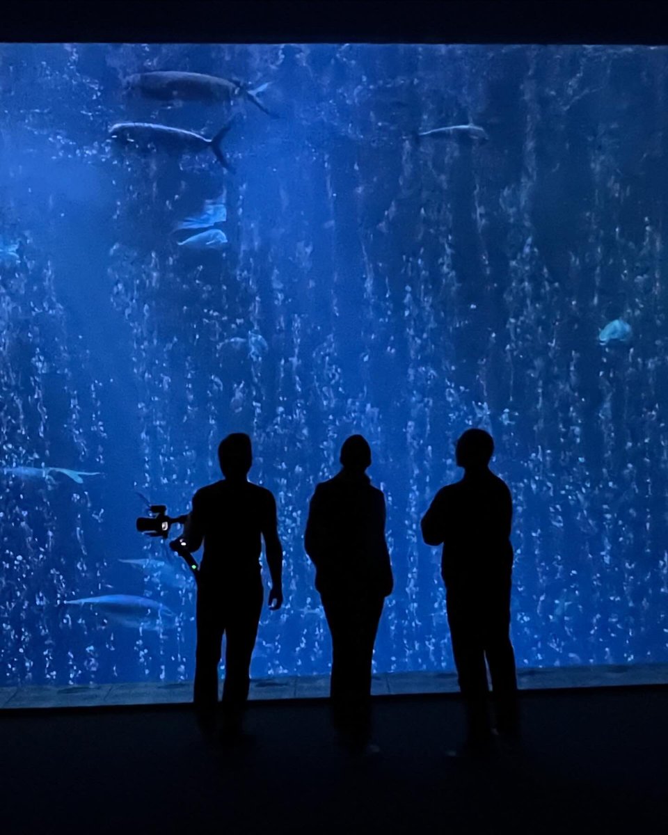 klustout's tweet photo. 🌊🪸🦈 For the next #TechForGood, we hit the high seas to meet the next generation of innovators on a mission to better understand, explore, and protect one of our final frontiers.

We can't wait to share our stories from the spectacular Monterey Bay and elsewhere with you! 🙌🏽 https://t.co/dYvrW6Z65T