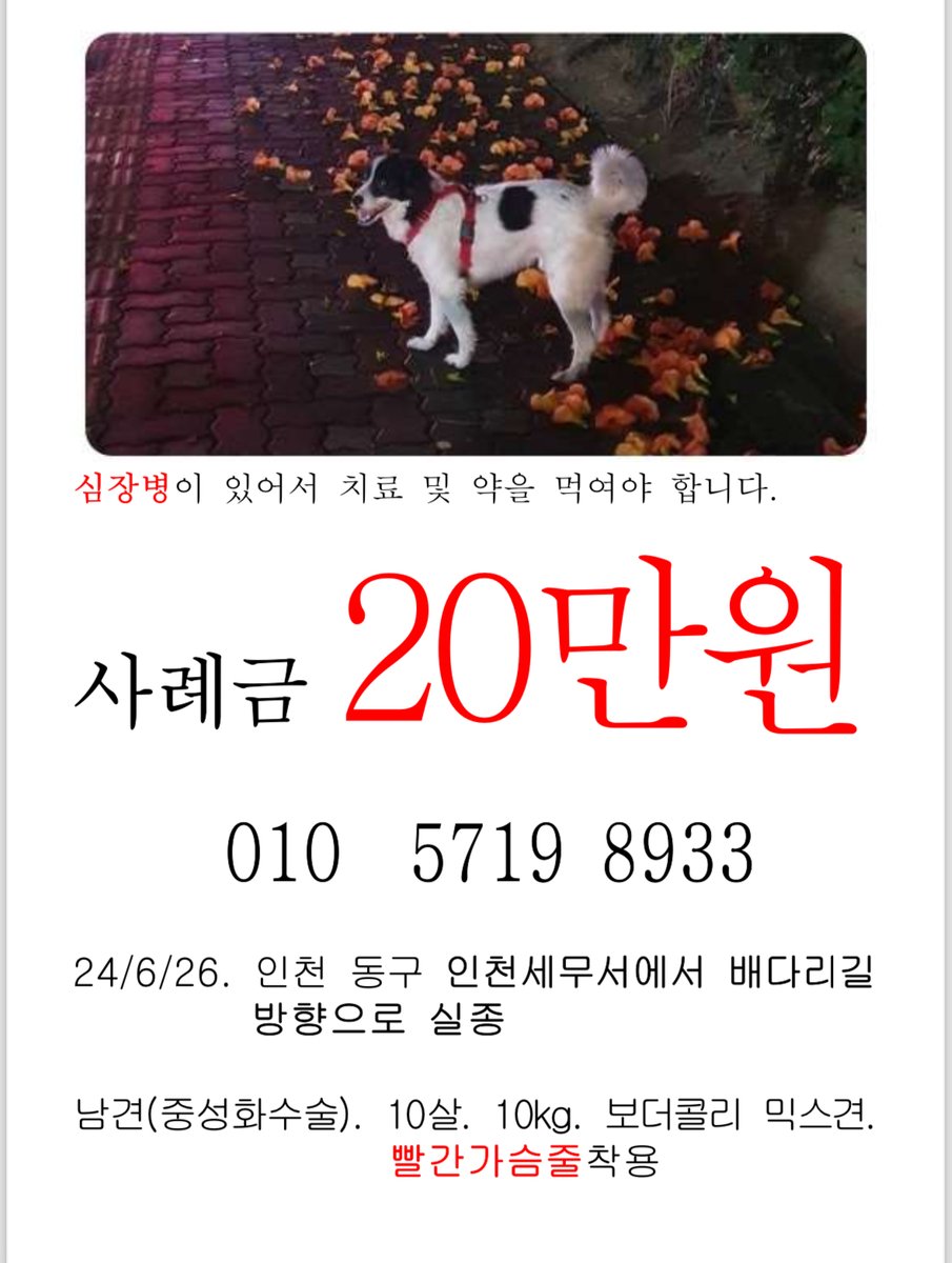 xenus_kkw's tweet photo. 한번 봐주십셔ㅜㅜ https://t.co/Vwu0JdZFZ0