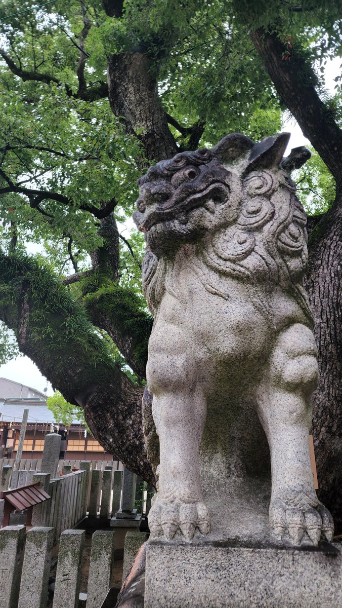 7月、文月になりました。 7月2日には水神社の例祭を斎行致します。水は