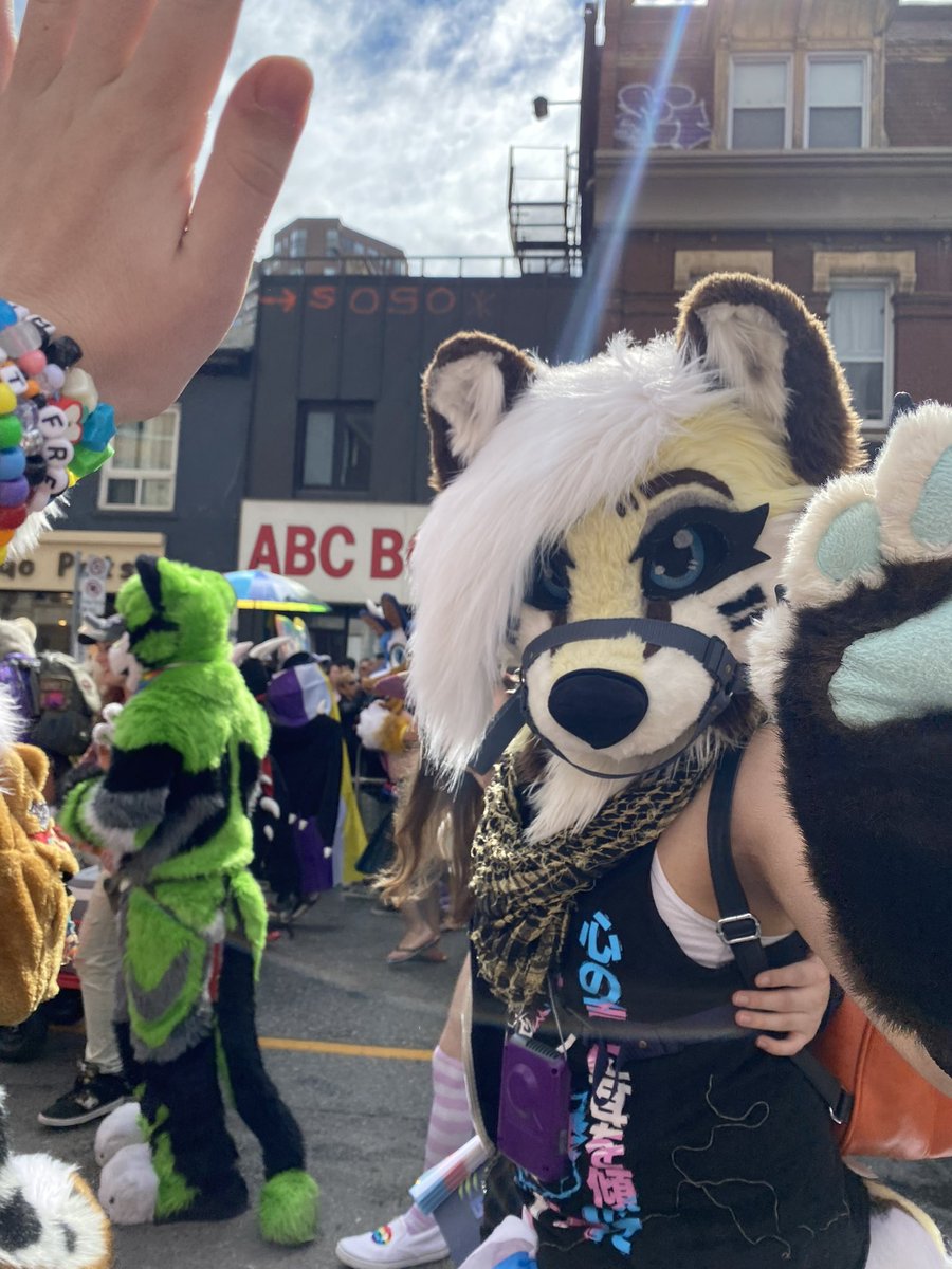 rainbowruff's tweet image. more furs!! i rlly wanna identify em all so i can follow em #torontopride