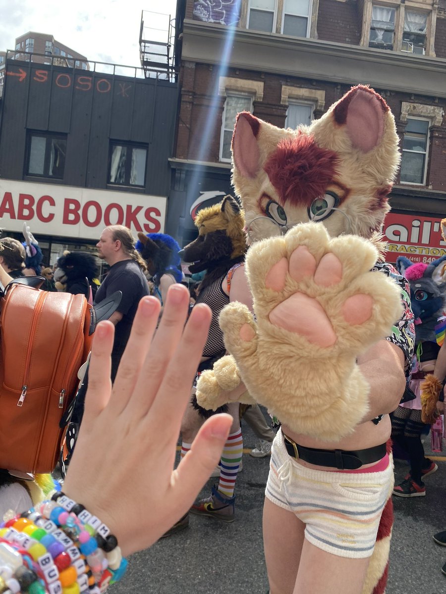 rainbowruff's tweet image. more furs!! i rlly wanna identify em all so i can follow em #torontopride