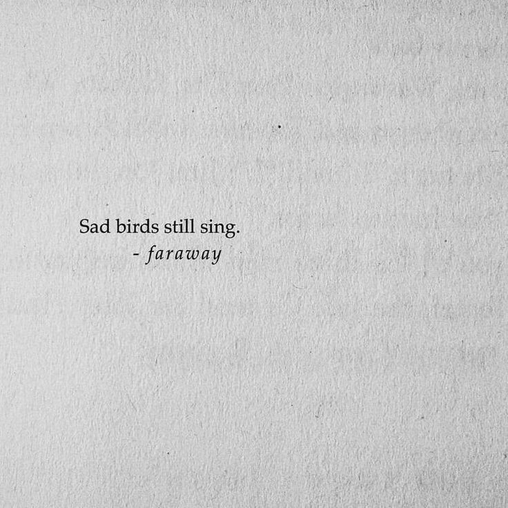 Neivillette's tweet image. ⠀

⠀