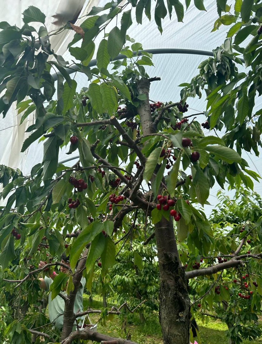 Jade Martin tweet media