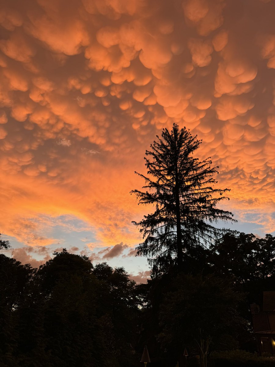 Chris Fralic tweet media