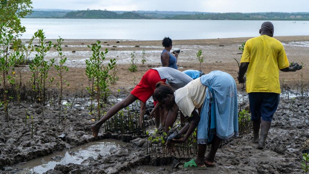 carlosjmelgar.eth tweet media