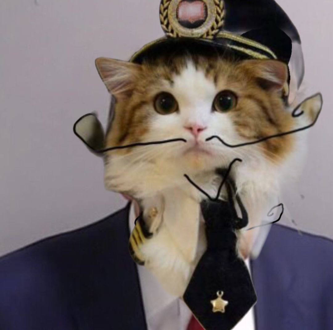 Meow 

$ncat