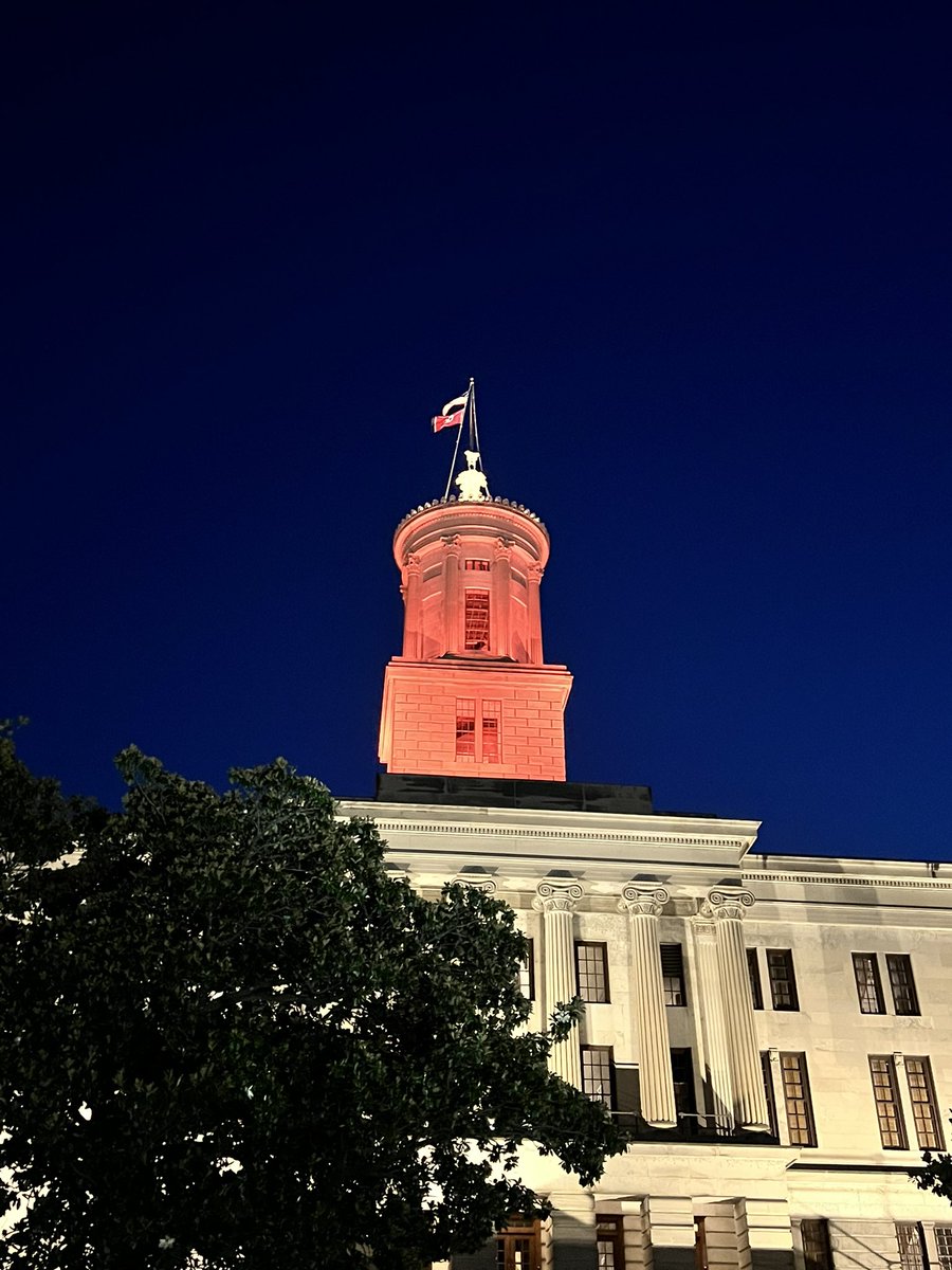 LMarenda's tweet photo. Nashville highlights today: Grand Ole Opry tour, National Museum of African American Music, and a ghost tour - last pic is of capital at night. #GirlsRoadTrip2024 #TeacherAlwaysLearning #CountryGirl 🤠🩷 https://t.co/3uDeAzd3gh