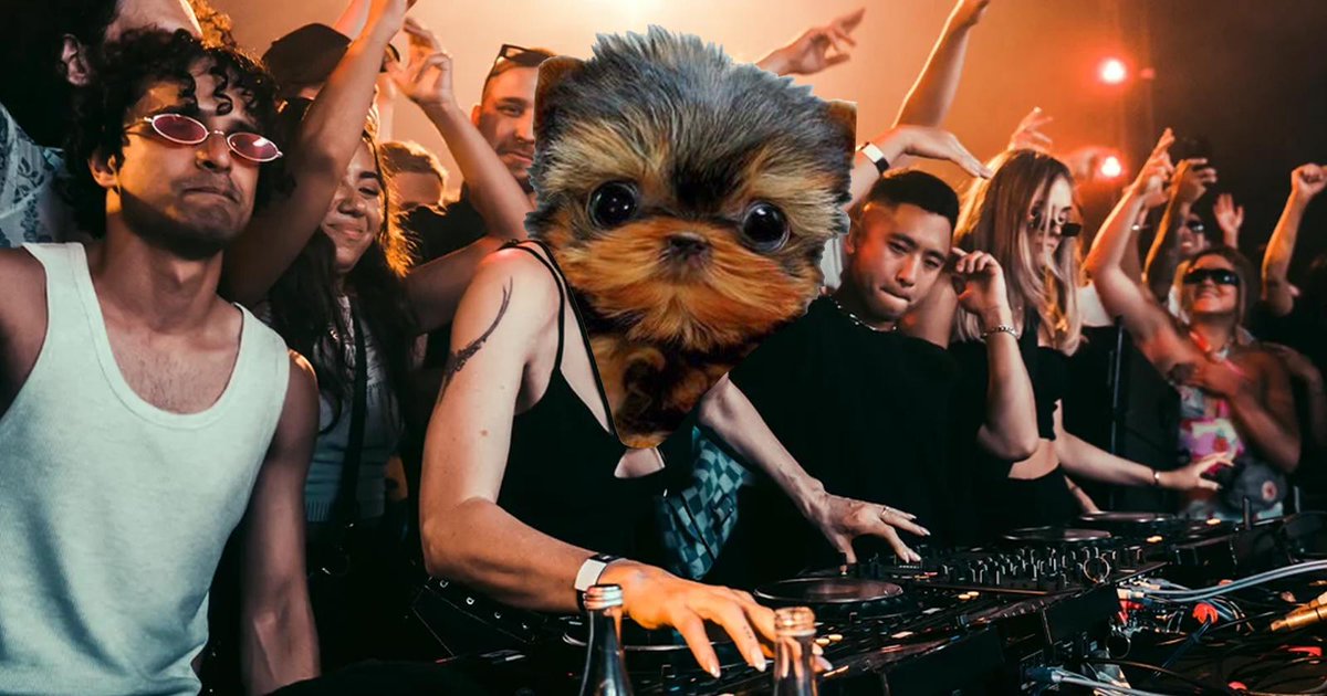 scruffosol's tweet photo. you know the party is good when $SCRUFFO is your dj

23z9yrJ4QtCd2AULm9XZHgqdo7YFefcJB7bBMN9wTWFL https://t.co/LxXFA6Pr2u