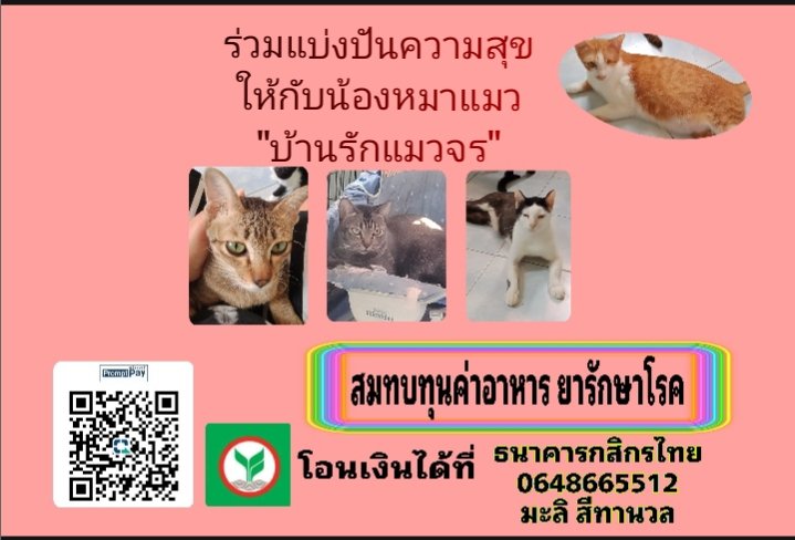 MaliLovEcat's tweet photo. ท่านใดเห็นทวิตนี้ ขอให้รวยมีโชคลาภถูกหวย2ตัว3ตัวตรง ถูกล็อตเตอรี่รางวัลที่1ได้เงินหมื่นเงินแสนเงินล้านก้อนโต ร่วมทำบุญค่าอาหารและซ่อมกรงให้เด็กๆที่บ้านเนื่องจากโดนฝนจนพังได้นะคะ💰💰💰519-817-826-72-51 #หวย #หวยรัฐบาล #แบมแบมของขลัง #เลขเด็ด #หวยงวดนี้ https://t.co/m98zideMoi