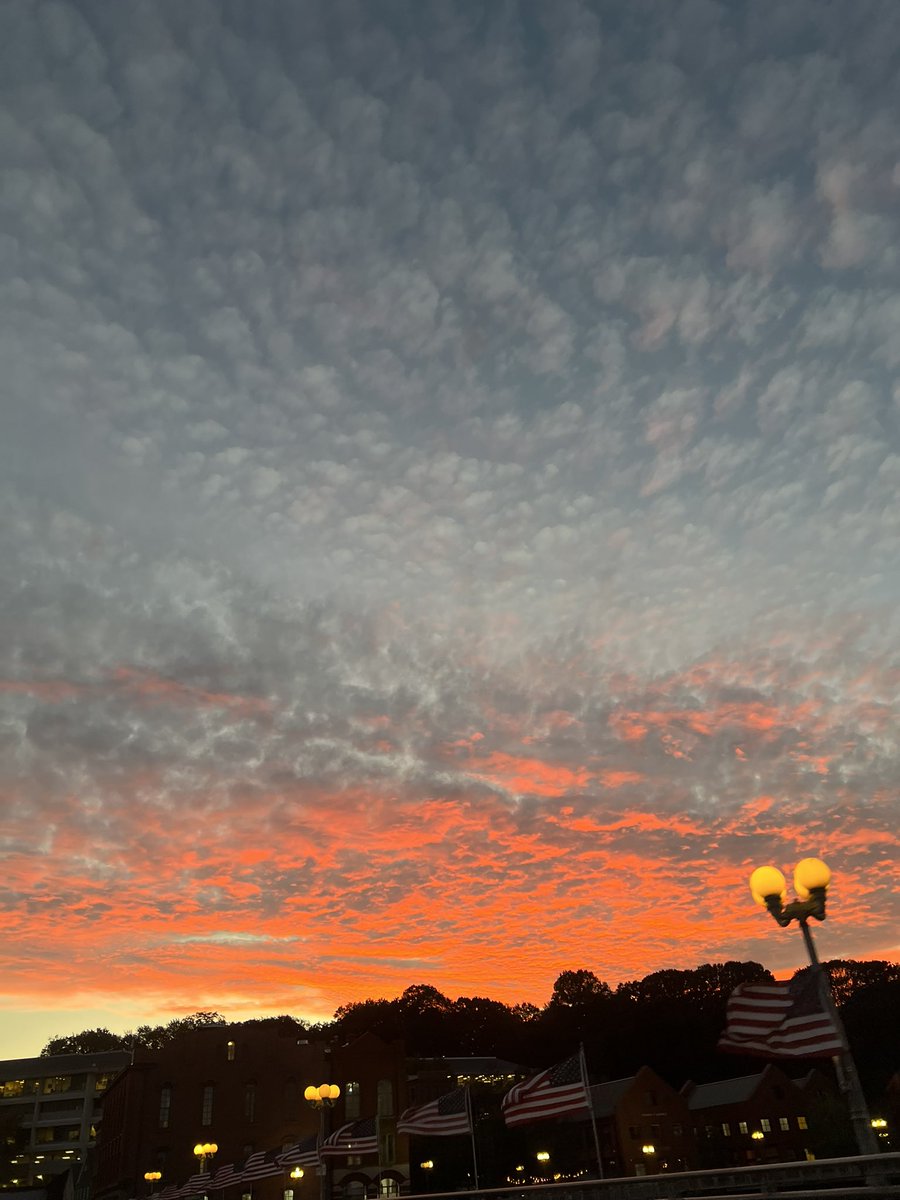 ReproCenterAmer's tweet image. Beauty at Home