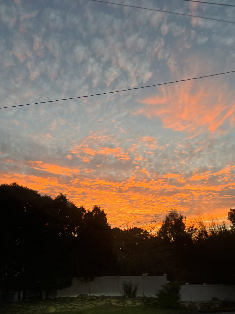 ReproCenterAmer's tweet image. Beauty at Home