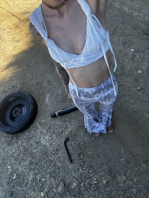 Tried to go to the beach with my pets 🐱🐶, will be buying a new tire instead https://t.co/VE5ZTSOc08