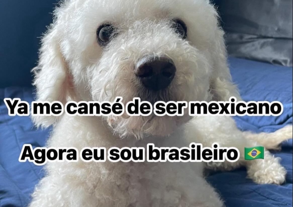 K0nk098's tweet photo. #SeleccionMexicana https://t.co/9ZcYK5Wfhx