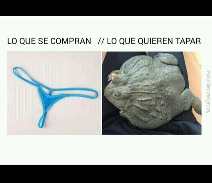 DonMemazos's tweet photo. https://t.co/mMV5Nre7MC