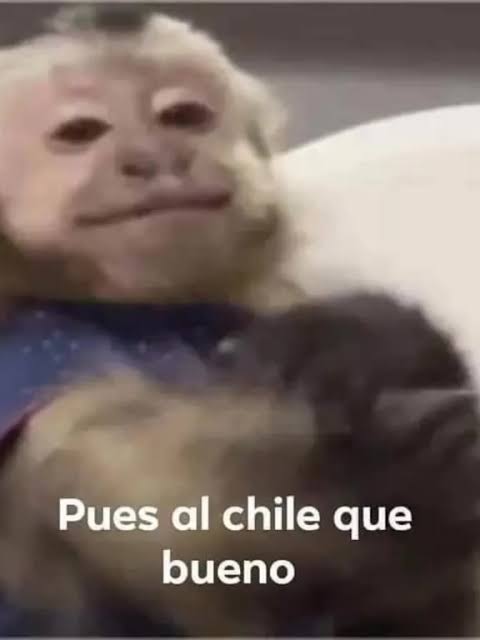 demon_historias's tweet photo. Los mexicanos viendo cómo quedamos fuera: https://t.co/vYcCyX25SF