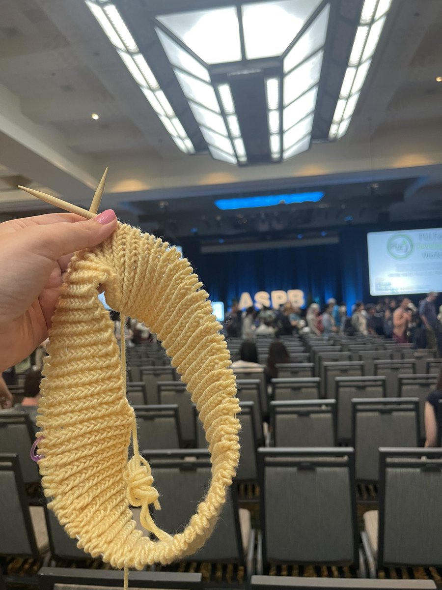 MarieAKeith's tweet photo. Knitting progress at the beginning vs end of this year’s @ASPB conference. It’s so much easier to pay attention when my hands are busy 🧶. Look out for me in this yellow tank top next summer at #PlantBio2025 in Milwaukee! https://t.co/c2eYQ7BWto
