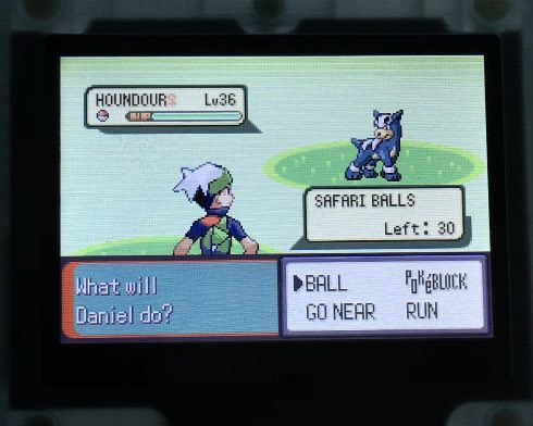 5th and final shiny of (official) Safari Week is a houndour after 10,780!! My first one I’ve found and coolest thing I’ve found in a few years! Gonna finish up my phase in Ruby then it’s a wrap for my #SafariWeek2024