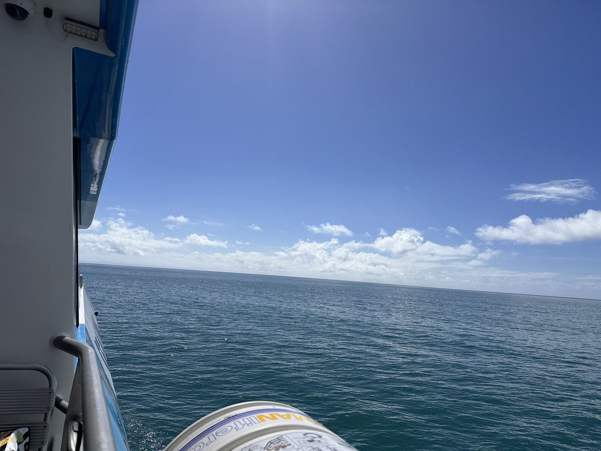 It’s that time of year again… whale watching on the way to work. I know they’re out there #bestjobintheworld #ruralgeneralist #bwgcolman