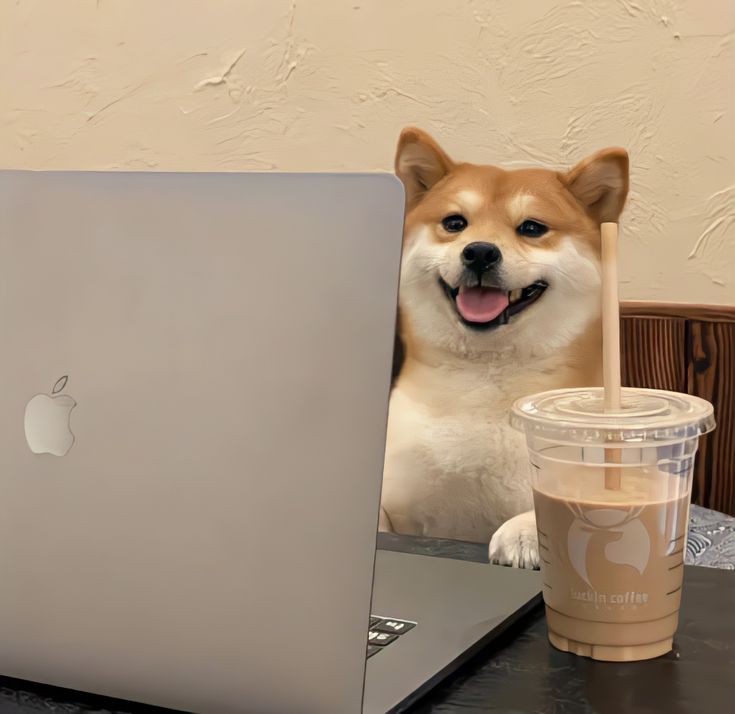 danieldivein's tweet image. Sabtu VS senin