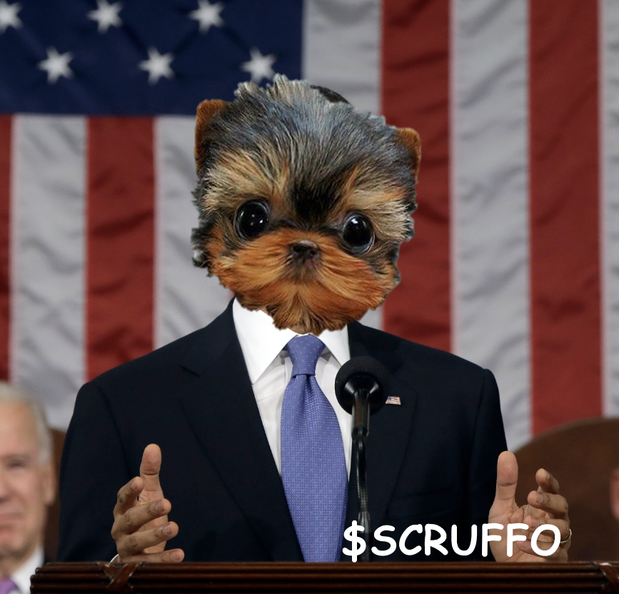 scruffosol's tweet photo. welcome to the stage, president $SCRUFFO ... 

23z9yrJ4QtCd2AULm9XZHgqdo7YFefcJB7bBMN9wTWFL https://t.co/rNzxPcJyQA