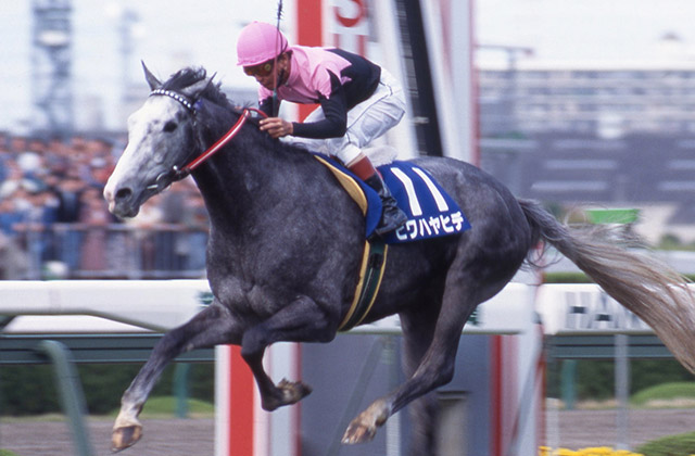 JRA 宝塚記念　ビワハヤヒデ The LEGEND 2013年 JRA CM 宝塚記念 ビワハヤヒデ - YouTube