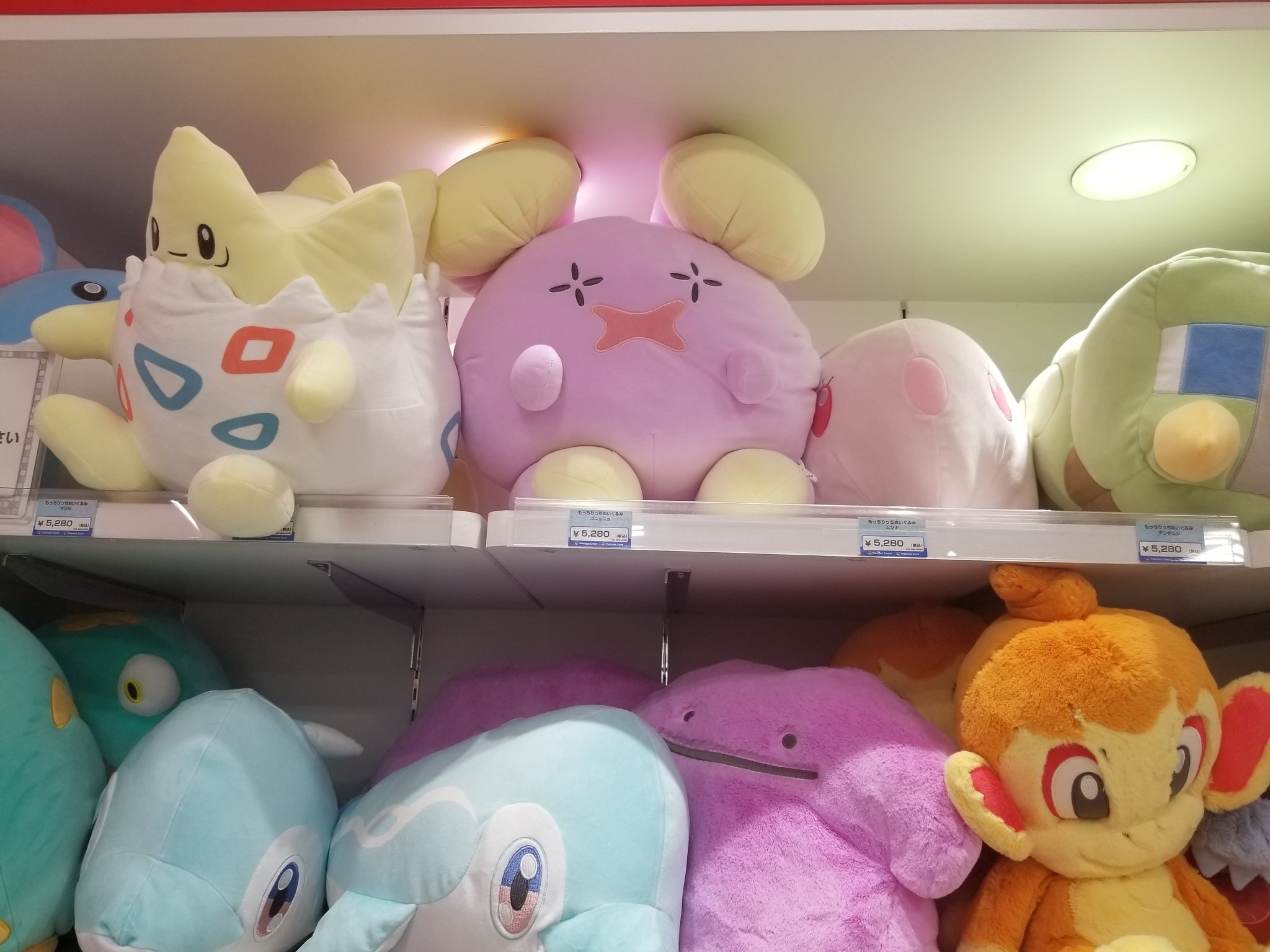 ポケモン界No.1アイドルを目指すドゴーム on X: 