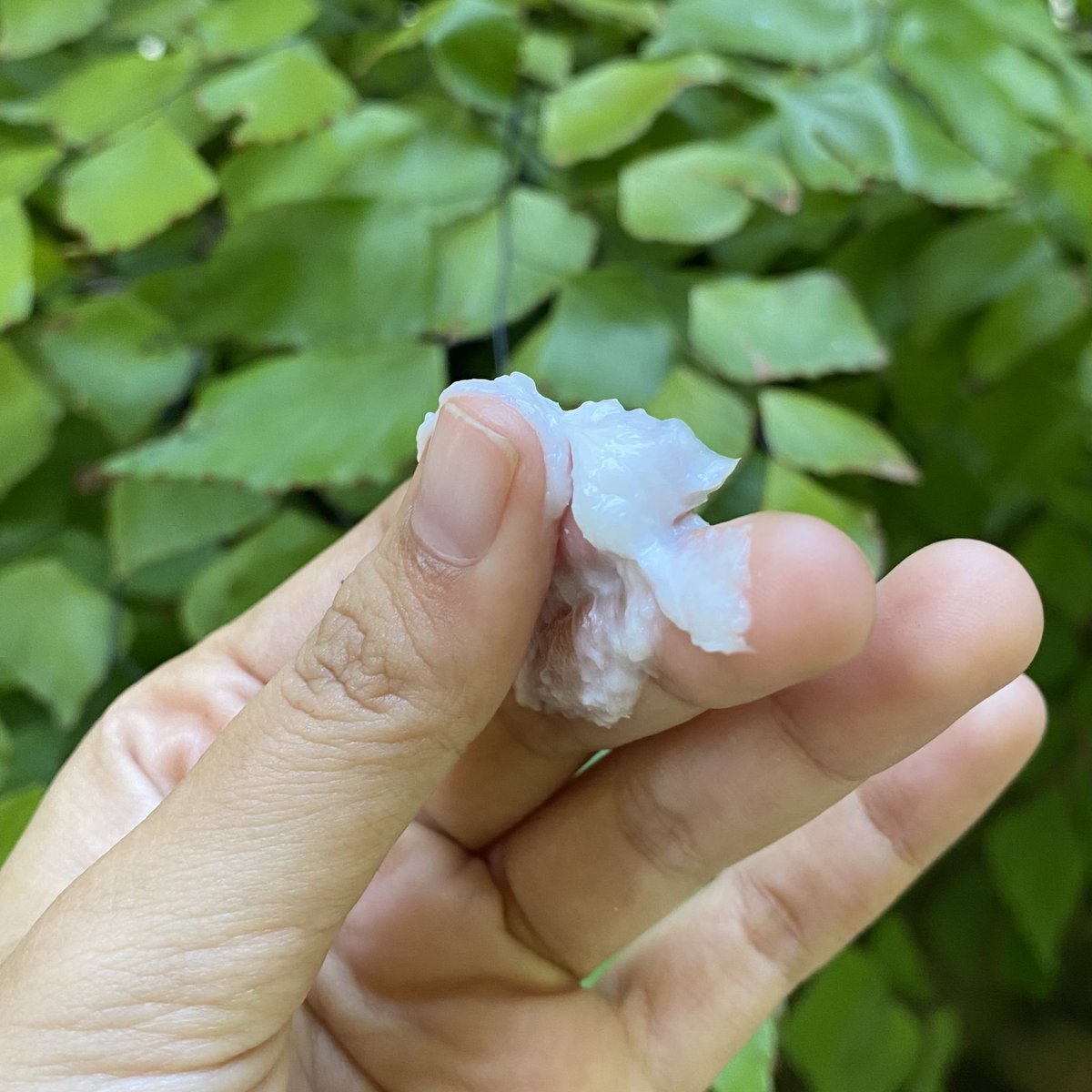 ‼️ Shinzu’i Body Scrubb ‼️

Rekomendasi dari aku scrub yang nggak bikin sakit di kulit &amp; tangan •ﻌ•

ini membantu aku mengangkat kotoran dan sel kulit mati. Dan ternyata mampu mencerahkan juga -`♡´-

ini pemakaian pribadi uda 2 minggu dan mencerahkan

s.shopee.co.id/8KUmulp8lo